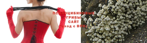 мяу мяу мука Краснотурьинск