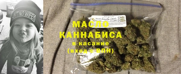 2c-b Краснослободск