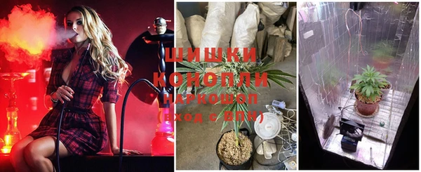 мяу мяу мука Краснотурьинск