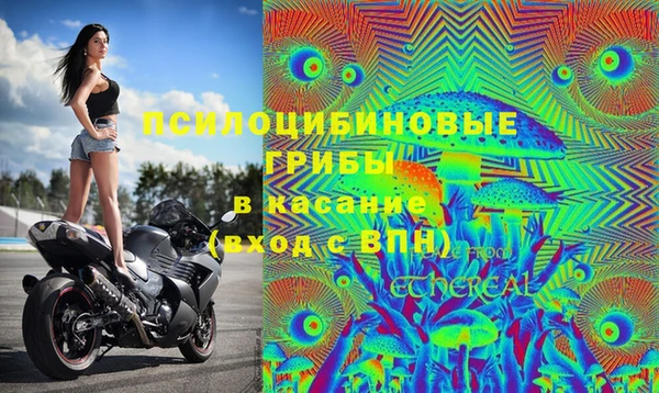 не бодяженный Красноперекопск